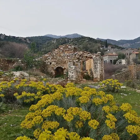 فيلة Soem Elaia